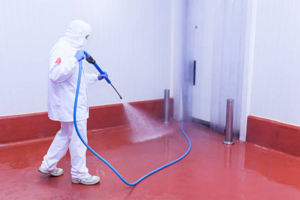Best Rust Removal  in Mianna, AR